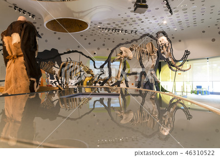 Jeongok Seonjosa博物館 Jeongok Seonjosa博物館 46310522