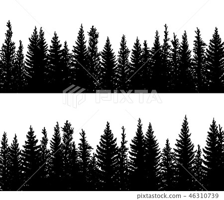 Banner Silhouettes Of Spruce Coniferous Forest Stock