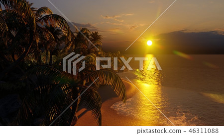 Palms on the tropical beach 3d rendering Palms on the tropical beach 3d rendering 46311088
