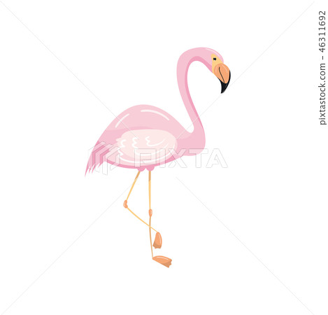 Beautiful pink flamingo, exotic tropical bird vector Illustration Beautiful pink flamingo, exotic tropical bird vector Illustration 46311692