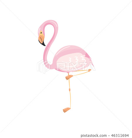 Pink flamingo on one leg exotic tropical bird vector Illustration Pink flamingo on one leg exotic tropical bird vector Illustration 46311694