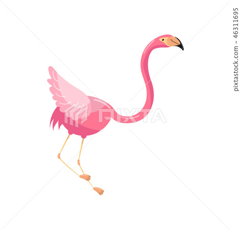 Beautiful elegant pink flamingo, exotic tropical bird vector Illustration Beautiful elegant pink flamingo, exotic tropical bird vector Illustration 46311695