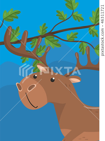 Cute deer vector illustration with woodland animal, design element for banner, flyer, placard 46311721