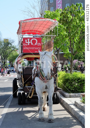 札幌觀光教練 46312176