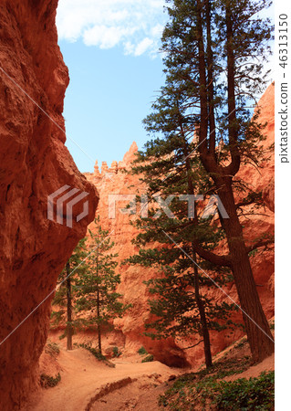 Panorama from Bryce Canyon National Park, USA 46313150