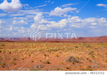 Arizona desert panorama Arizona desert panorama 46313152