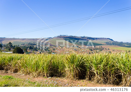 Valley of a Thousand hills near Durban Valley of a Thousand hills near Durban 46313176