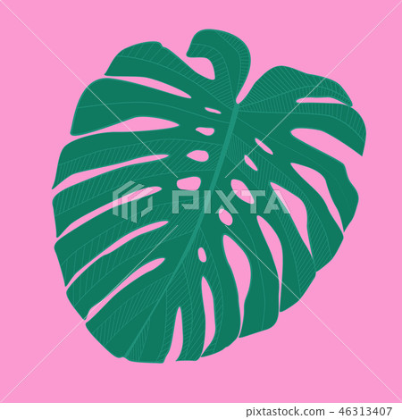 Abstract tropical monstera  leaf. Vector Illustration 46313407