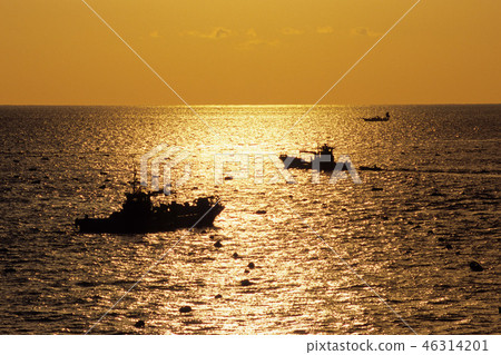 The golden sea The golden sea 46314201