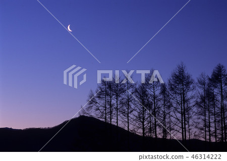 Crescent and forest 46314222