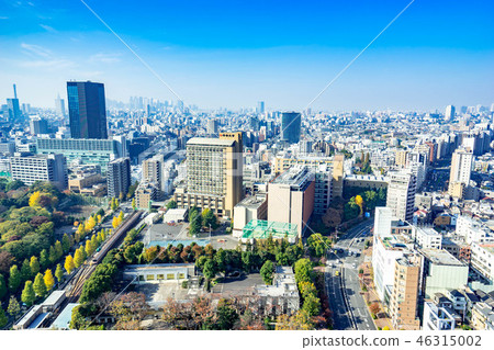 文京市政中心的展望[東京] 46315002