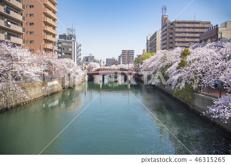 [岡川真喜吉野] 46315265