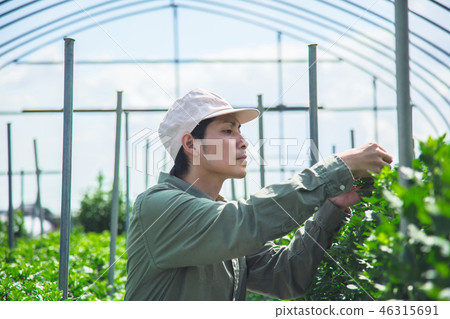 農業人 46315691