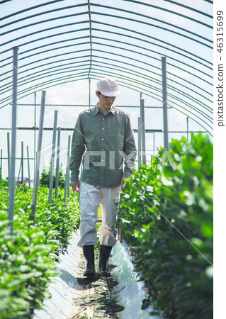 Agriculture men 46315699