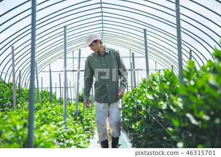 Agriculture men 46315701