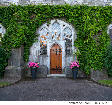 An entrance with a wooden door covered with ivy An entrance with a wooden door covered with ivy 46316046
