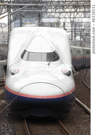 Joetsu Shinkansen E4 series (Toki color) 46316531