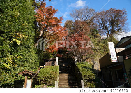 Kamakura Sugimotodera Sugimoto-dera Temple 46316720