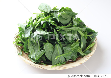 菠菜切 46317149