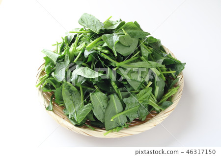 菠菜切 46317150