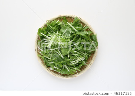切碎的蔬菜 46317155