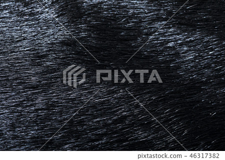 Harako leather 46317382