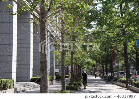 Afternoon in the office area 46317997