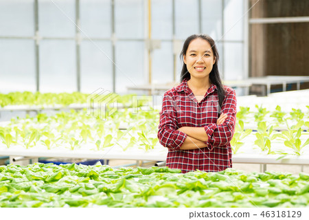 Asian woman farmer in vegetable hydroponics farm Asian woman farmer in vegetable hydroponics farm 46318129