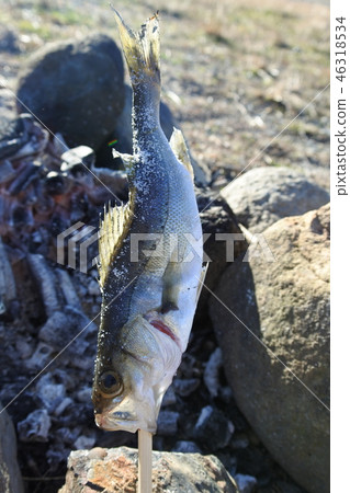 鹽烤鱸魚鈴鐺鈴木 鹽烤鱸魚鈴鐺鈴木 46318534