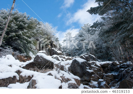 Tateshina山在冬天 46319153