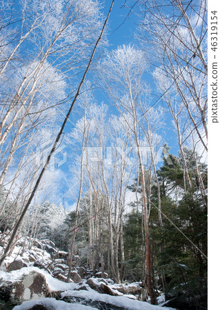Tateshina山在冬天 Tateshina山在冬天 46319154