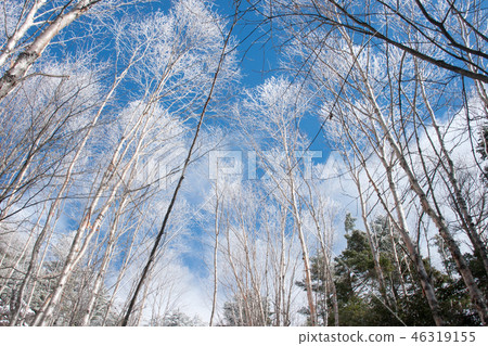 Tateshina山在冬天 Tateshina山在冬天 46319155