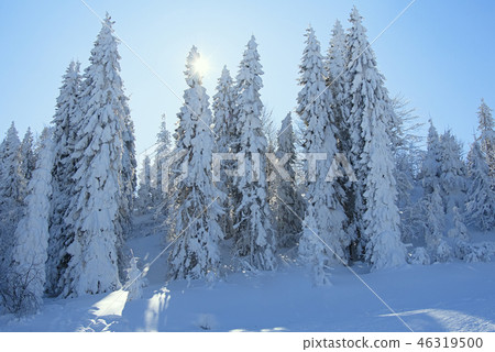 fantastic winter landscape 46319500