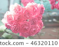 Rose 46320110