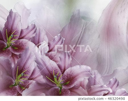 Floral pink-red beautiful background. Floral pink-red beautiful background. 46320498