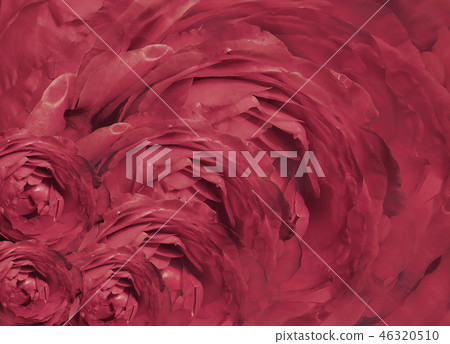 Floral pink beautiful background. Floral pink beautiful background. 46320510