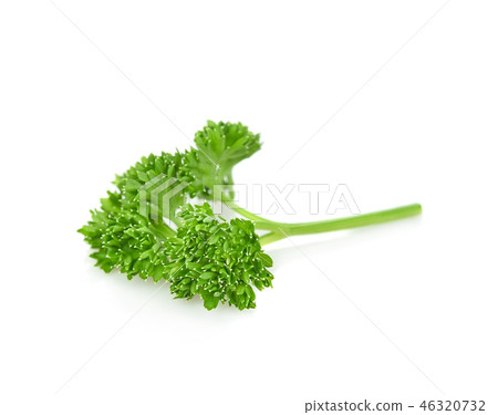 parsley isolated on white background 46320732