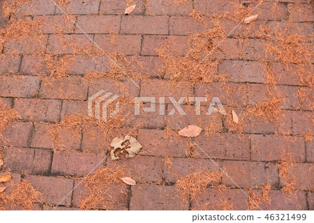 Red brick parking lot 46321499