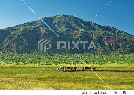 [阿蘇山Kusasenrihama海灘]熊本縣阿蘇市Kusasenri海灘 46323904