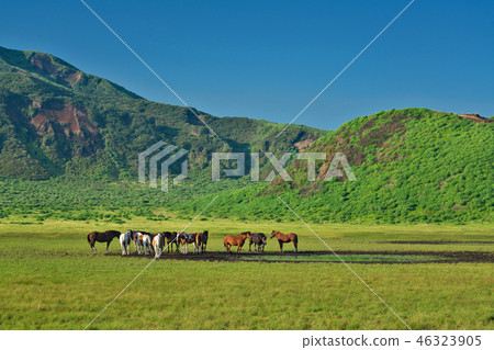 [Aso mountain Kusasenrihama Beach] Aso City, Kumamoto Prefecture Kusasenri Beach 46323905