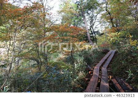 Mountain climbing from Oze to Mt. Mountain climbing from Oze to Mt. 46323913