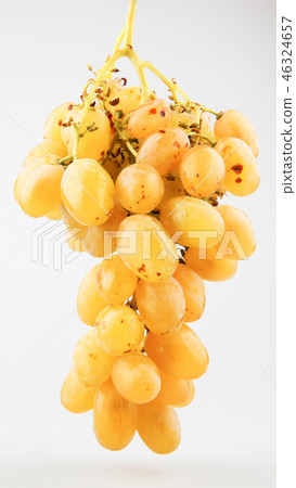 Fresh grapes isolated Fresh grapes isolated 46324657