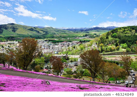 從Shiba-zakura公園看見的Takigami鎮都市風景 46324849