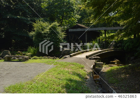Nakazawa Ike Park Tama City - Stock Photo [46325863] - PIXTA