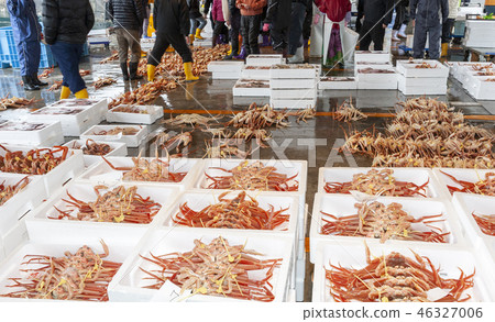 Fish market 46327006