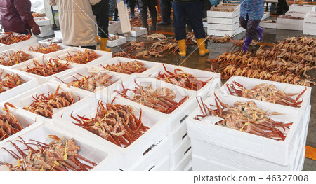 魚市場 魚市場 46327008