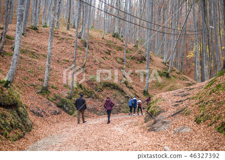 Pathway to Valea Cetatii Cave in autumn season Pathway to Valea Cetatii Cave in autumn season 46327392