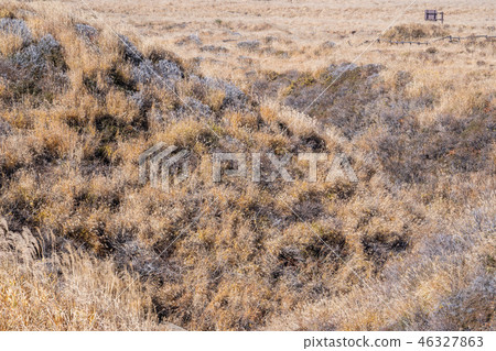 日本 九州 阿蘇 火山 芒草 熊本 aso mountain volcano 日本 九州 阿蘇 火山 芒草 熊本 aso mountain volcano 46327863