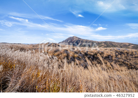Japan Kyushu Aso Volcano Miscanthus Kumamoto aso mountain volcano Japan Kyushu Aso Volcano Miscanthus Kumamoto aso mountain volcano 46327952