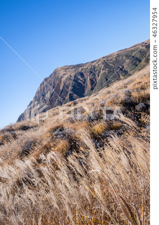 Japan Kyushu Aso Volcano Miscanthus Kumamoto aso mountain volcano Japan Kyushu Aso Volcano Miscanthus Kumamoto aso mountain volcano 46327954